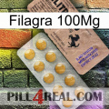 Filagra 100Mg 41